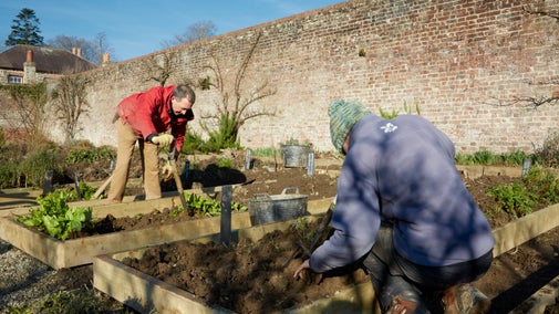 Two gardeners crouched down to work on the vegetable patches in the Walled Garden at Llanerchaeron, Wales